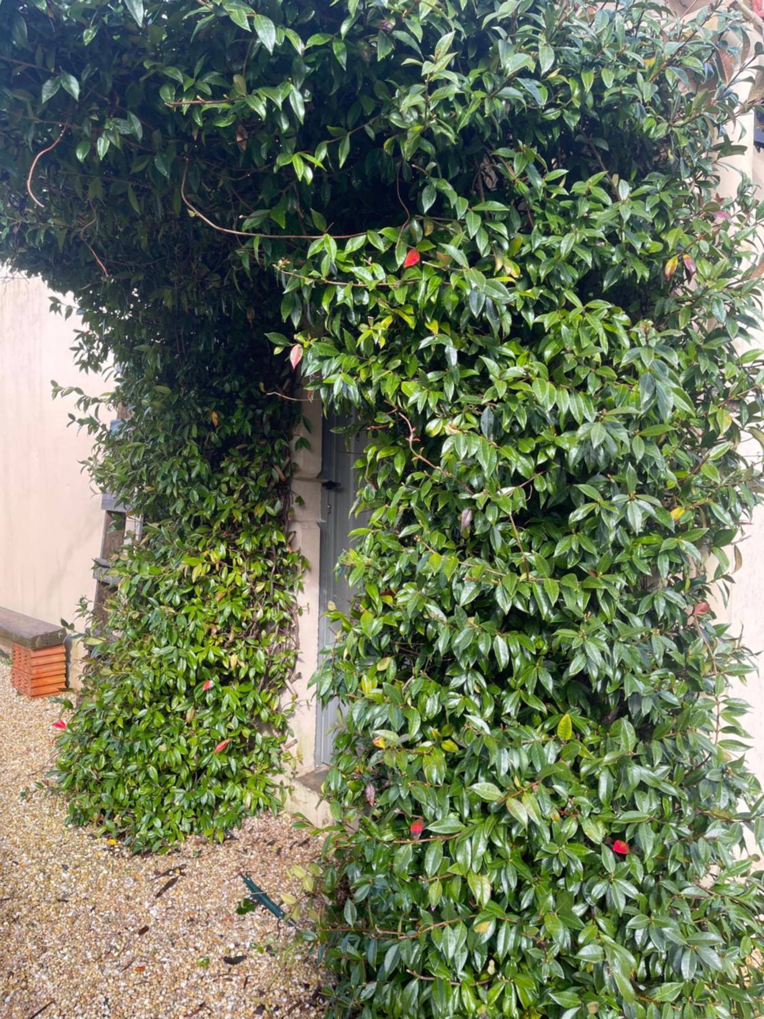 فيلا La Casa Da Pipa Cesuras المظهر الخارجي الصورة
